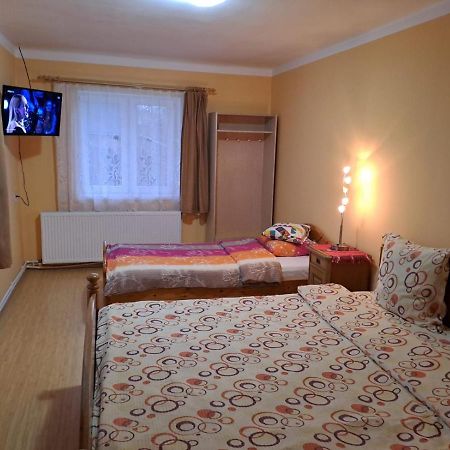 Casa Argentina Villa Cîrţişoara Bagian luar foto