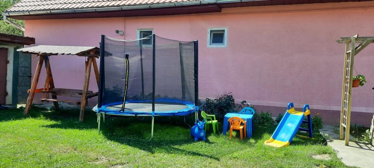 Casa Argentina Villa Cîrţişoara Bagian luar foto