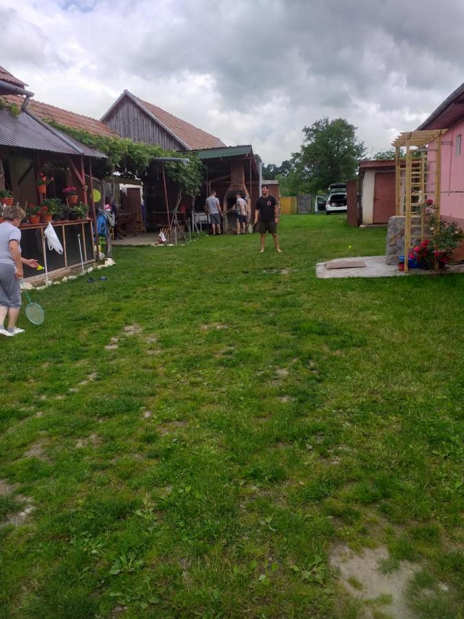 Casa Argentina Villa Cîrţişoara Bagian luar foto