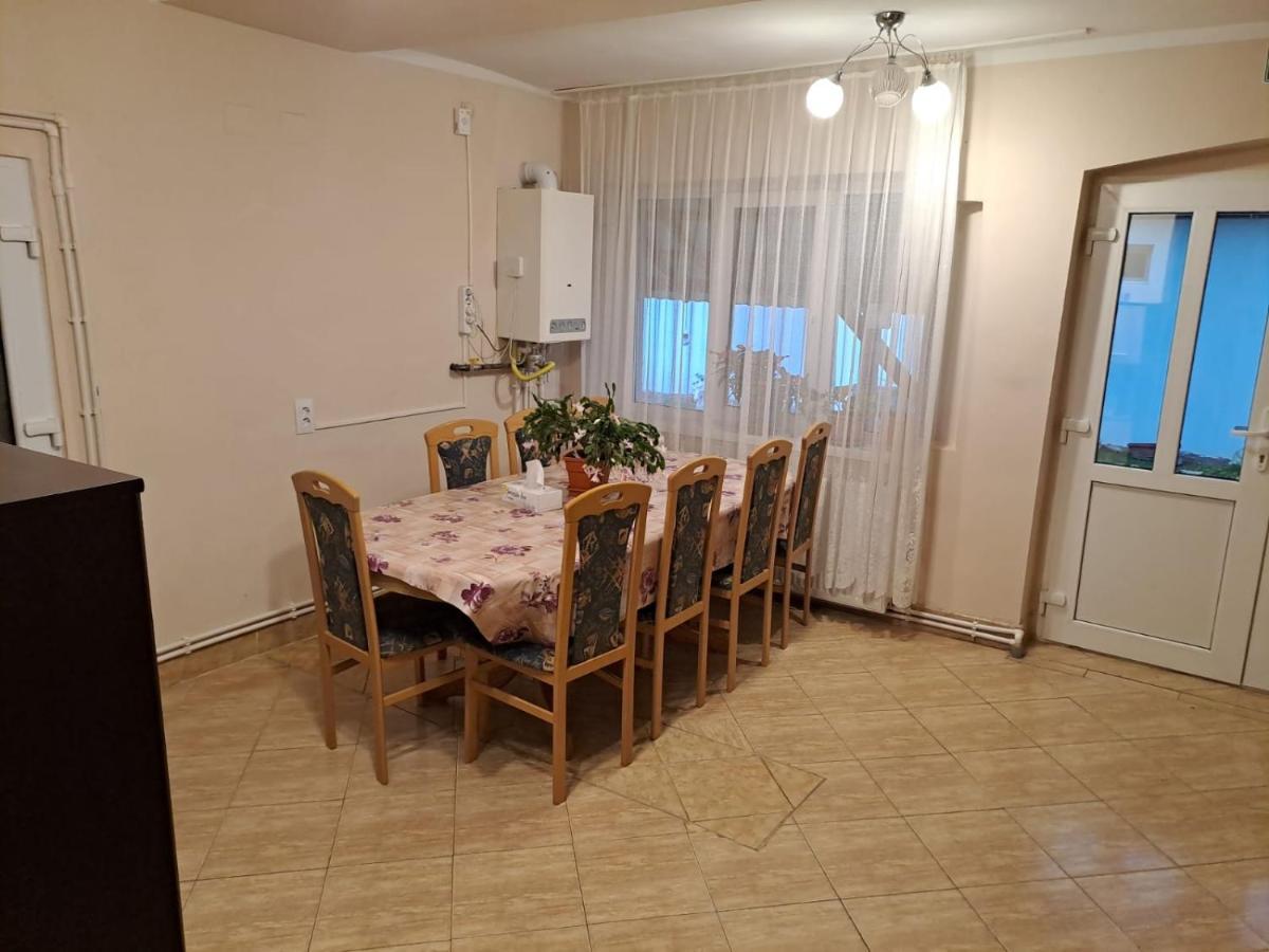 Casa Argentina Villa Cîrţişoara Bagian luar foto
