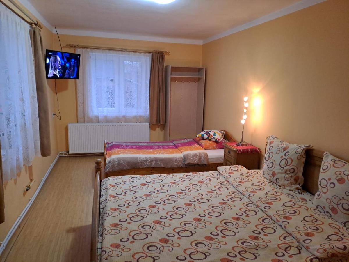 Casa Argentina Villa Cîrţişoara Bagian luar foto