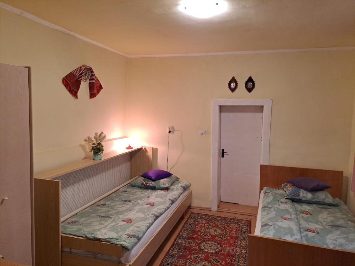 Casa Argentina Villa Cîrţişoara Bagian luar foto
