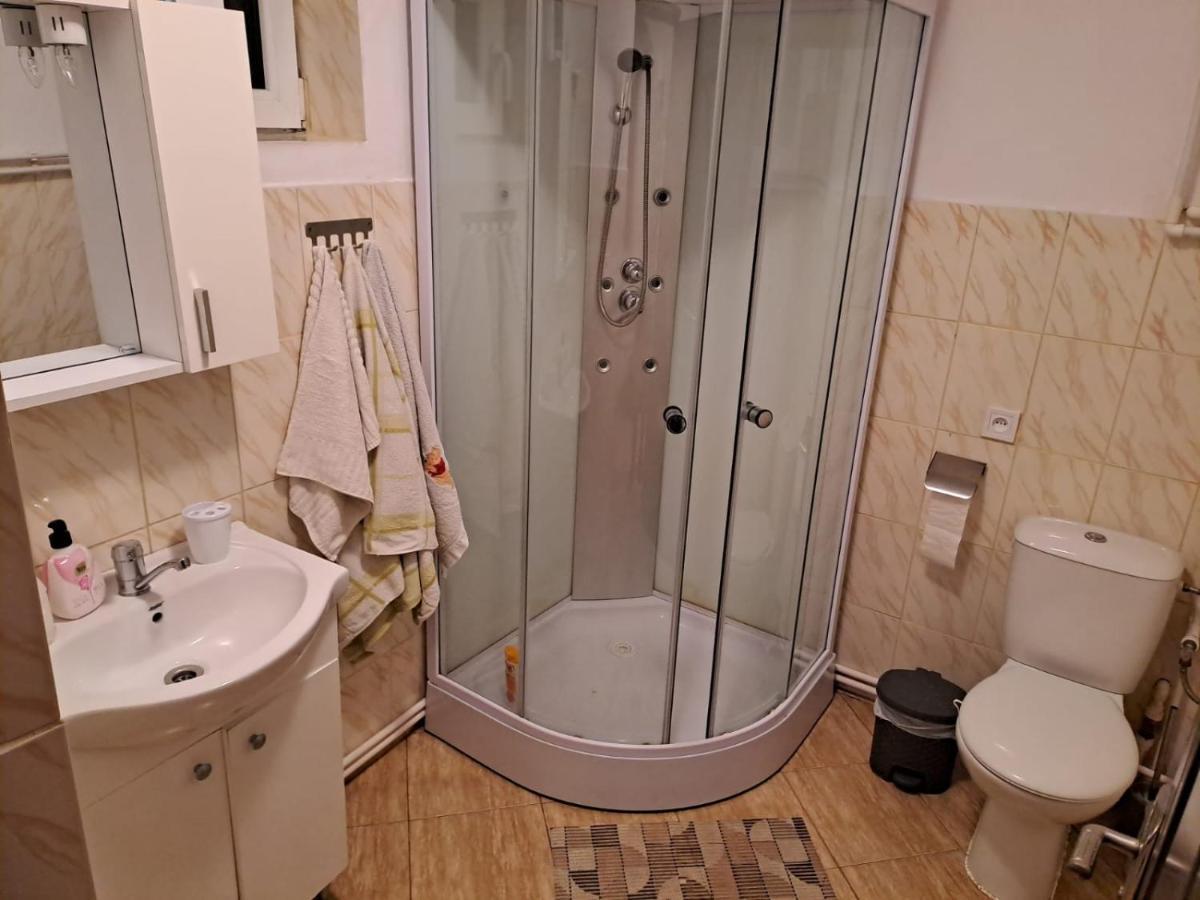 Casa Argentina Villa Cîrţişoara Bagian luar foto