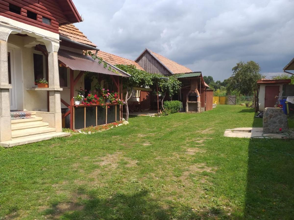 Casa Argentina Villa Cîrţişoara Bagian luar foto